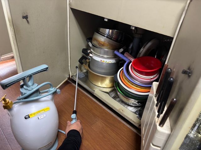 ☆新春キャンペーン料金50%オフ☆『虫バリア付き』【害虫駆除/クロアリ】