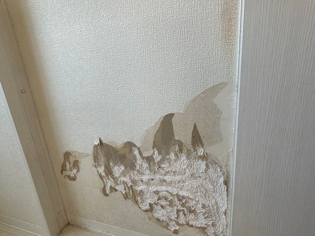 ペットと暮らすご家庭におすすめ。見た目もおしゃれに、清潔で快適なお部屋をキープ。