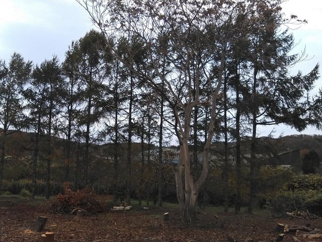 お客様のお力になります！経験と知識を活かして迅速丁寧に作業いたします