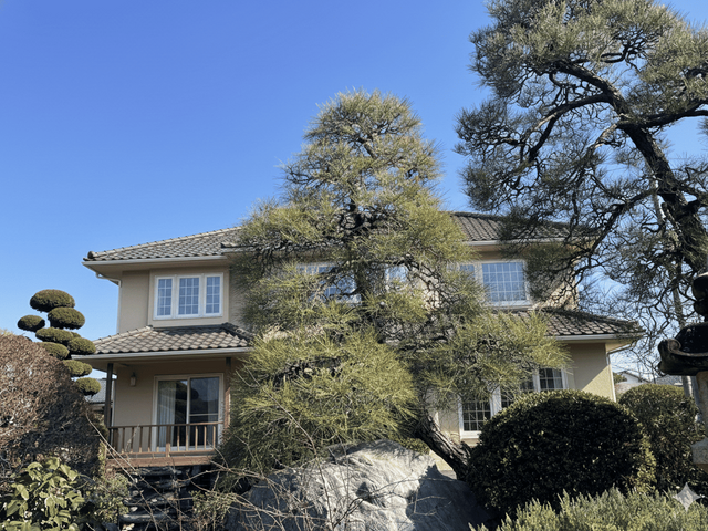 名工のもとで磨いた技で、木の未来まで整える剪定。