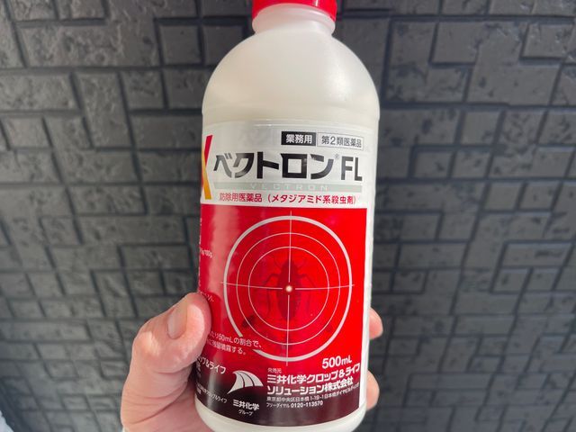 【キャリア10年以上】チャバネにお困りの飲食店様　◆そのお悩み解決いたします。