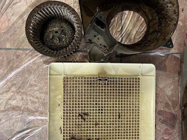 新年のお掃除にどうぞ！2回目以降破格でご案内します！