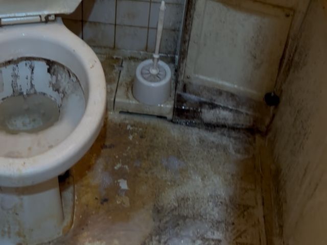 水回りプレミアムケア◎女性スタッフ対応