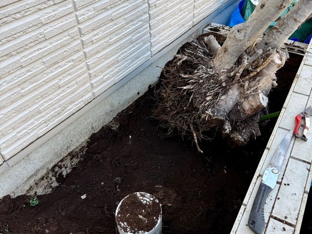 植木の伐採・抜根