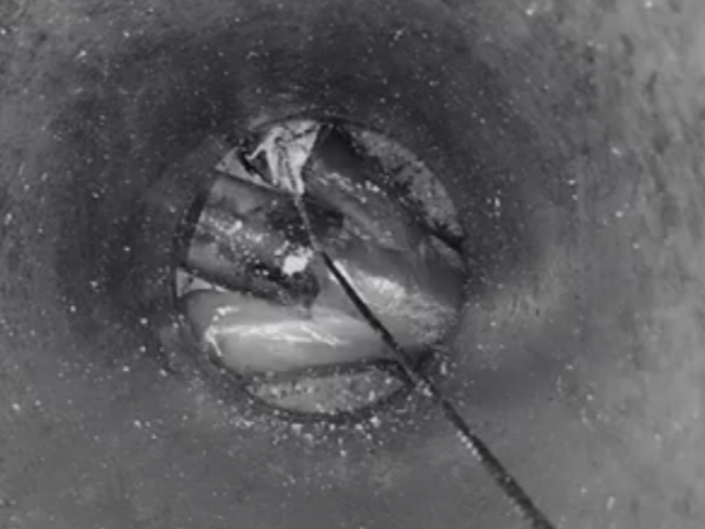 徹底洗浄☆大手経験スタッフ☆赤ちゃん・ペットに安全な洗剤使用☆彡