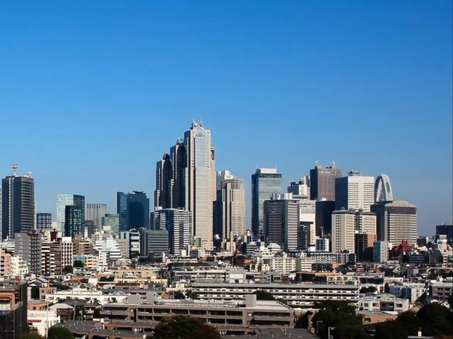 20年以上の実績で安心！マンション・ビルの不動産広告用ドローン撮影(英語対応可)