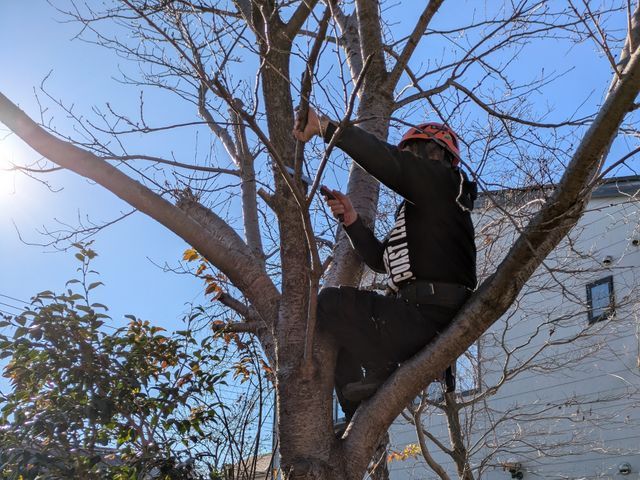 12月新出店◎二重丸造園20年・園芸6年【東久留米市】