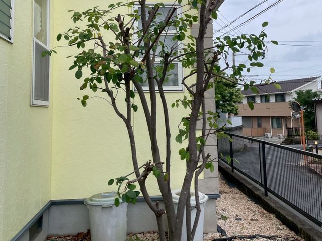 個人宅から店舗まで幅広く対応！将来を見据えた親切丁寧な庭づくりサポート