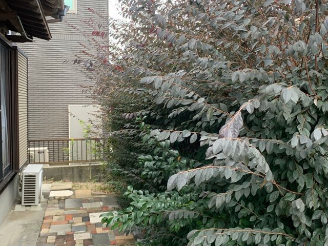 2月新出店◎30年以上の実績　一級造園施工管理技士｜造園全般◎庭づくり◎【京都郡