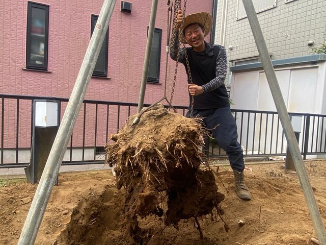 大きくなり過ぎた庭木もお気軽にご相談下さい