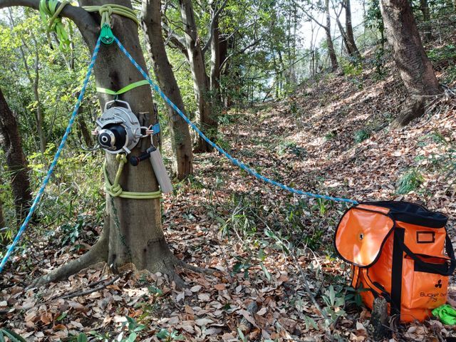 小さな庭木から数十メートルの高木まで丁寧に対応致します。各種資格実務経験あります