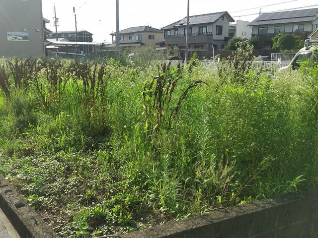 【明朗会計・お値打ち価格！】機械での草刈り、芝刈り、除草剤散布します。サービスの画像