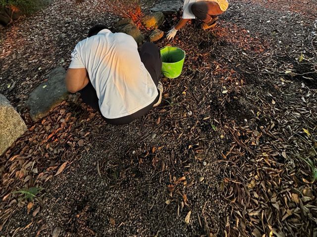 落ち葉清掃・庭のお片付け