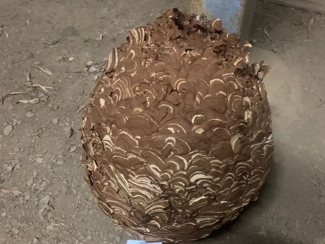 即日対応可能！6月空きあり！お家の危険をなくしましょう！