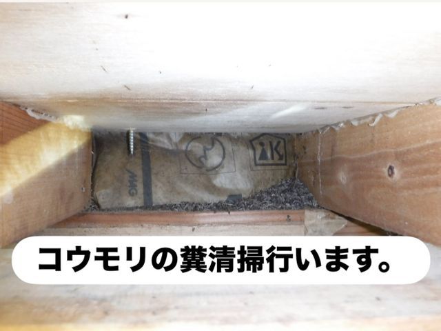 まずは完全無料見積もり！【即日対応も可能】大手経験10年以上！