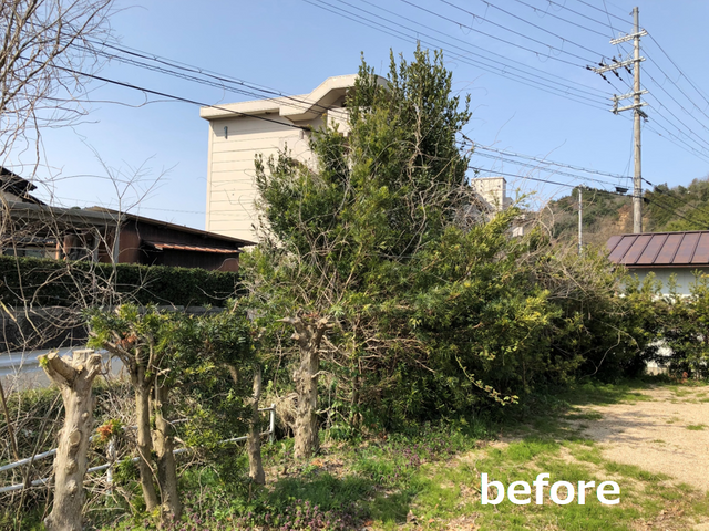 ★暮らしのそばに、頼れる伐採サービス　地域に根ざした、確かな技術とまごころ対応！