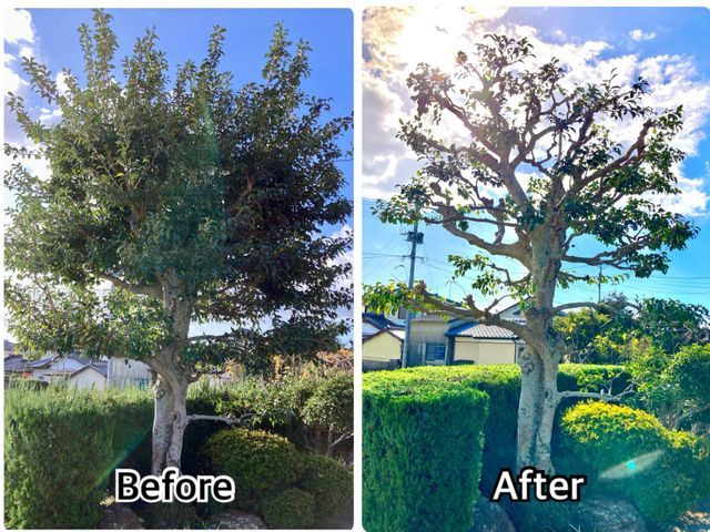 美しい仕上がりと将来を見据えた丁寧な作業をお約束します！◎女性スタッフ同行可能◎