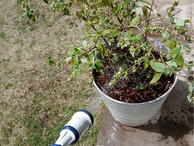 ◎職歴11年◎造園技能士　★初めてのご依頼はお問合せからが簡単です★
