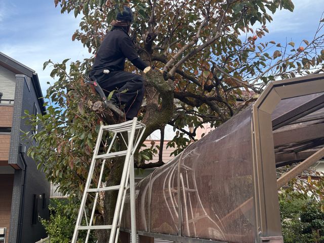 ◤庭が蘇る◢熟練職人が丁寧・スピーディに仕上げる庭木剪定