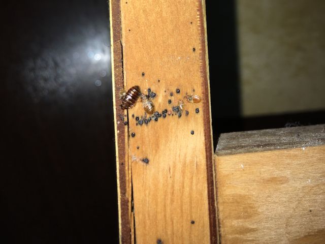 【100%自社対応】地域密着♪家族の安らげる空間をお守りします！