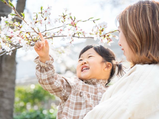 JBP協会 認定ブロンズ会員/桜と緑の中で素敵な笑顔を残します♪