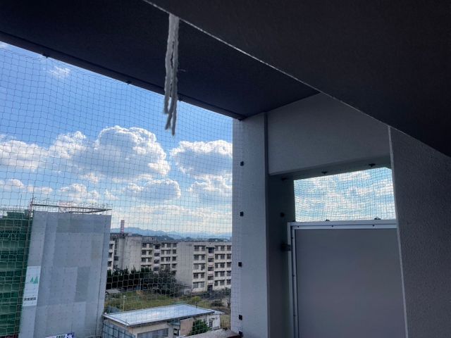 害鳥駆除・防除サービス