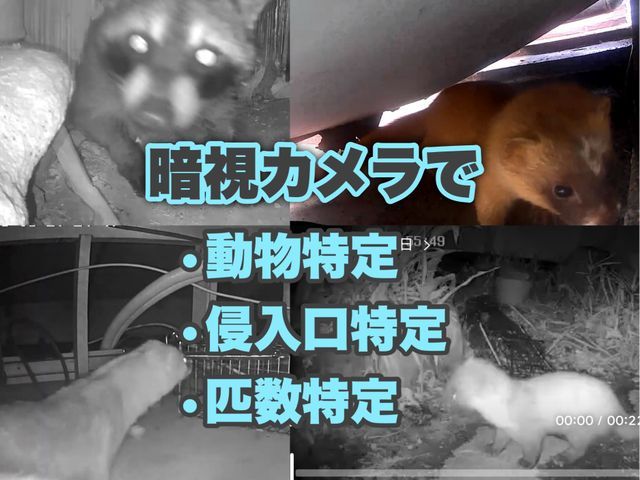 【アワード金賞受賞店舗！】【暗視カメラで動物特定！！】〓ぼったくり撲滅〓