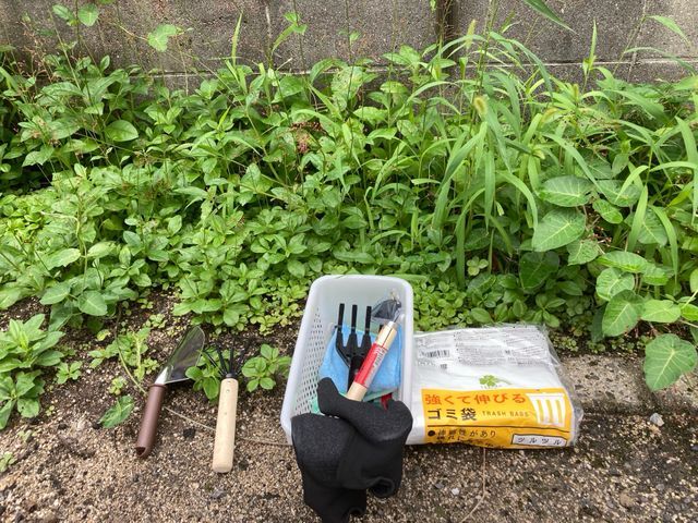 お庭の草むしりなら お任せください！