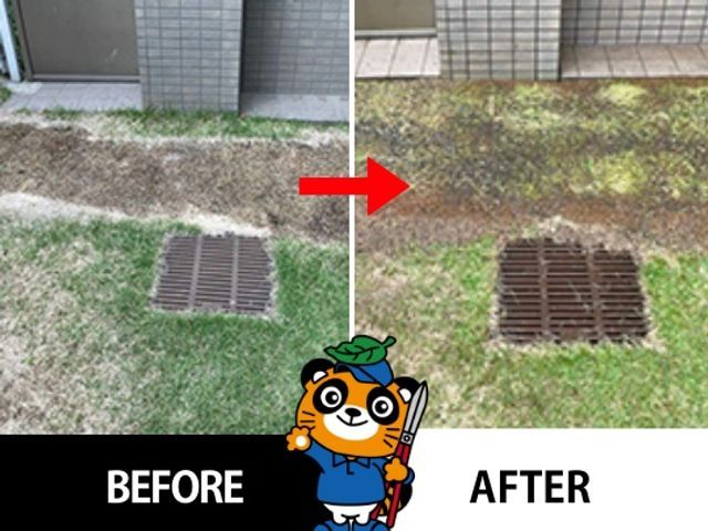 業歴10年・樹木医在籍！◎お庭のことなら庭クイック