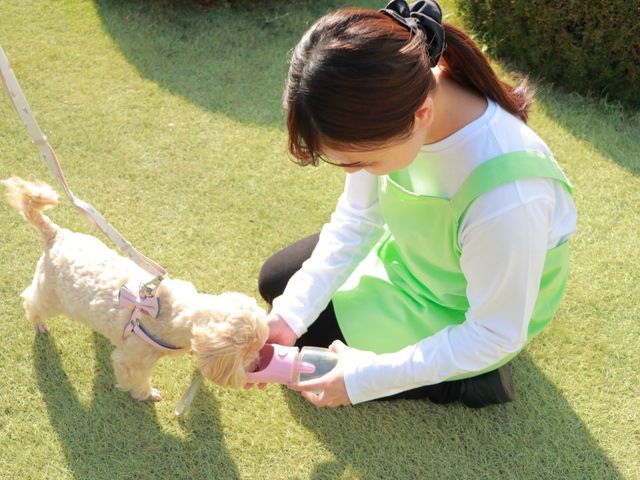 動物病院勤務10年以上の愛玩動物看護師による安心のお世話代行サービス