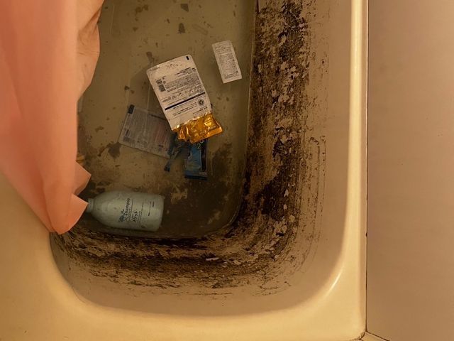 【12月出店】安心の損害保険加入済み◉若さでフットワーク軽く★大手経験あり♪