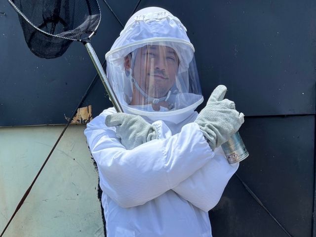 アシナガバチは8800円！大阪奈良エリアは当日対応可！駆除後、忌避剤を無料散布