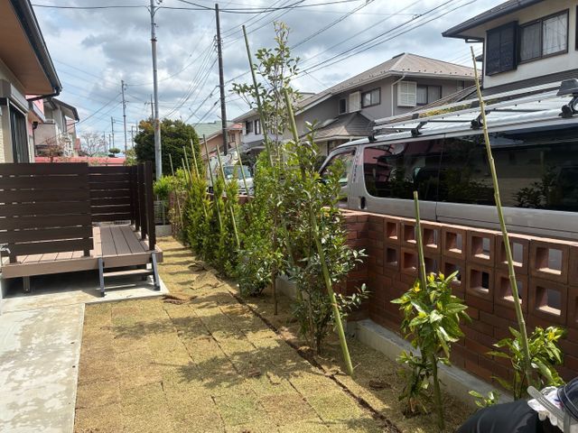 大切な樹木の植え替えお任せください！