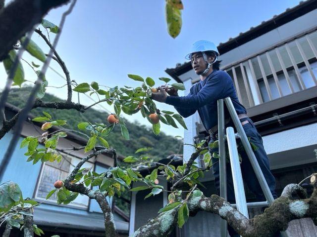 造園技能士保有の職人による庭木の剪定◆横浜市