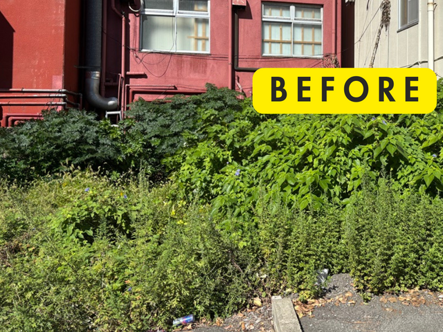 【丁寧・安心】草むしり（手作業）