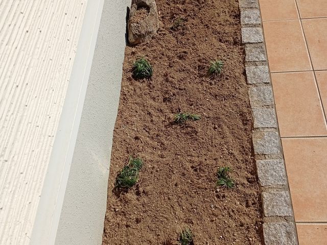 ハウスクリーニング士認定の自社スタッフが長期信頼関係を築きます