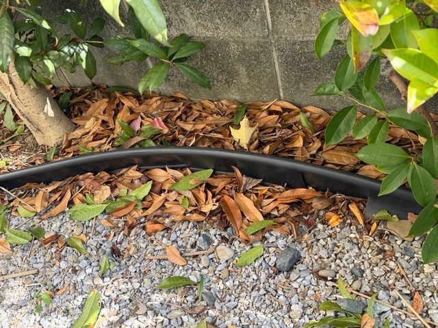 丁寧な落ち葉清掃です【浜松市（天竜区除く）、湖西市、磐田市 】