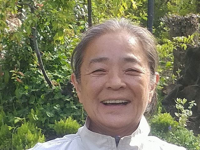 大木伐採、特殊伐採、伐採自然ゴミ撤去処分