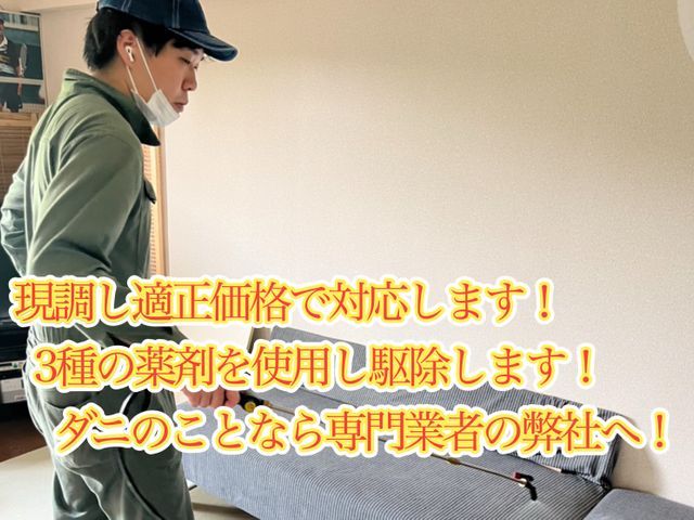 国家資格保持者による駆除！安心な刺されない日を取り戻しましょう！即日可！割引中！
