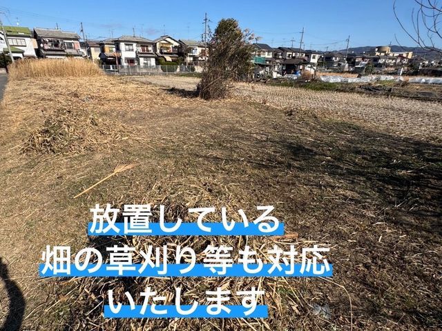 草刈り機、手作業なんでもやります