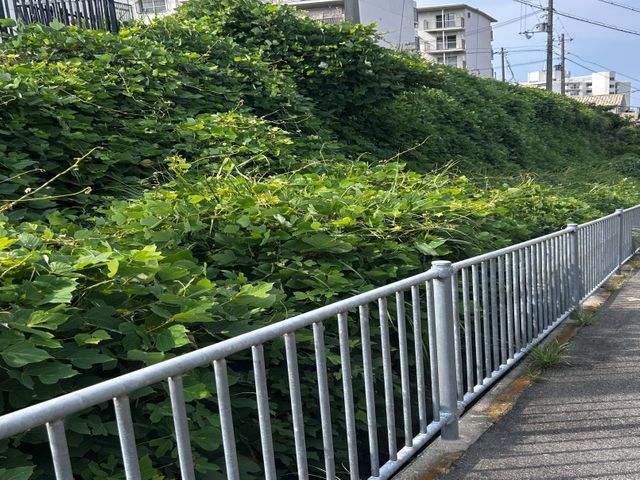 大手での豊富な経験を活かし、お客様一人ひとりのご要望に寄り添った丁寧な対応