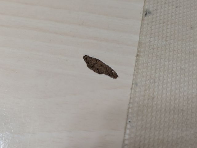 お客様への丁寧な対応で安心！プロの技術で美しく仕上げる専門補修サービス