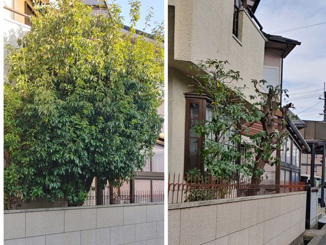 さしこむ光と風に 庭なごみ熟達の技に 心ほどける庭木一本から心地よい庭づくり！