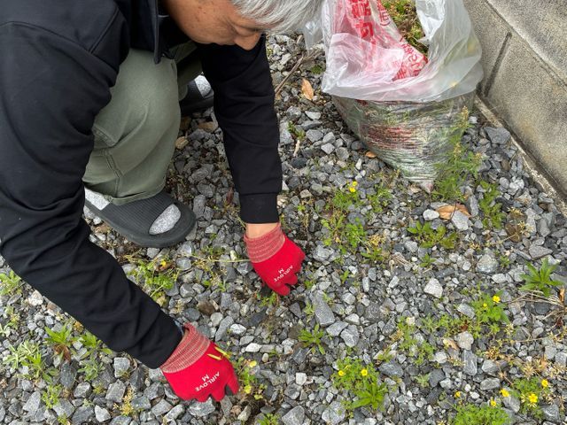 おそうじ屋さんの除草作業