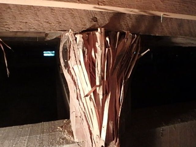 【名古屋発】作業・料金の丁寧な説明を約束◎ニオイや人体影響の無い優しい薬剤使用◎