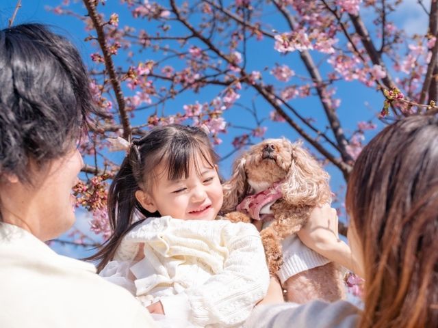 【全カット納品で後悔ゼロ！】子育てママカメラマンが叶える、家族の笑顔と大切な瞬間