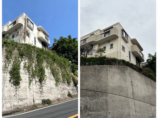 【圧倒的な提案力と説明力！】元サラリーマンだからこその丁寧説明◎植物が大好きです