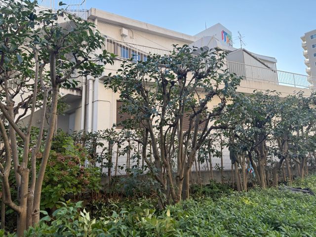 庭木スッキリ隊