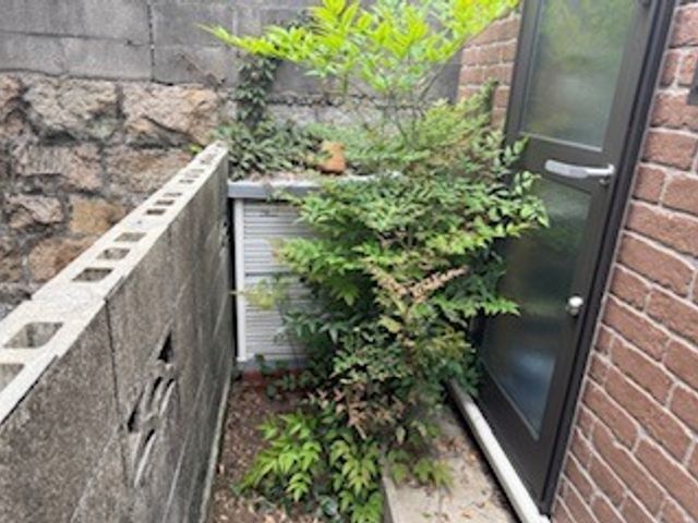 庭木スッキリ隊