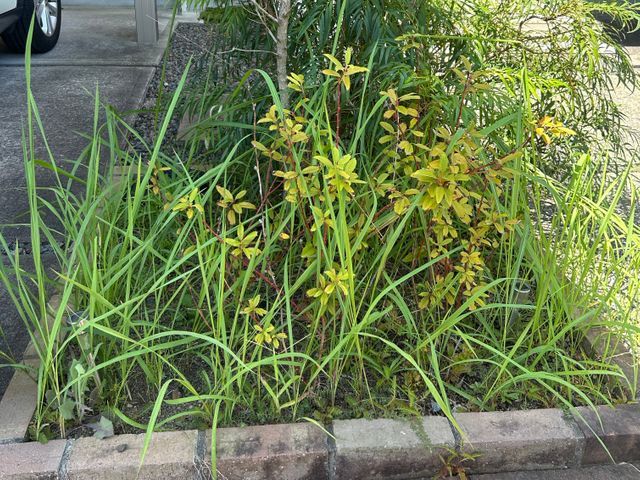 プロの技術でご満足いただけるように心を込めて作業いたします